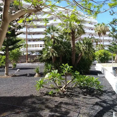 Appartement Vina Del Mar *